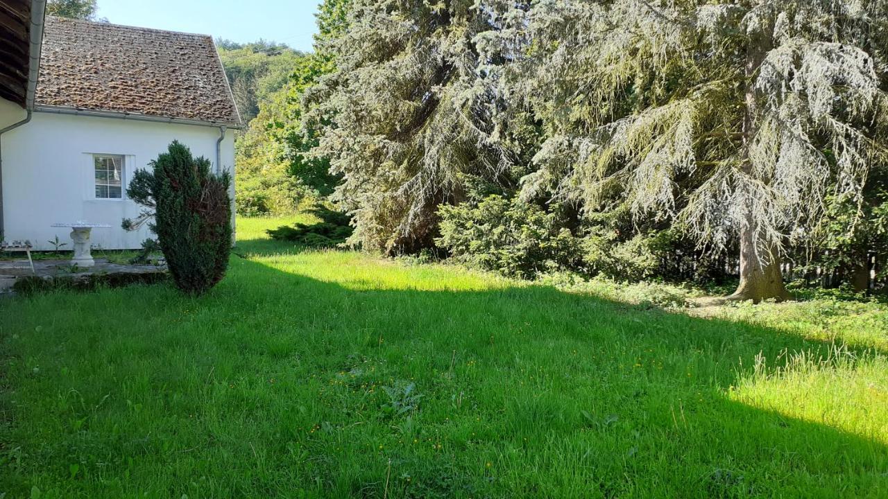 RESORT CHŘIBSKÁ Apartmány Adri Exteriér fotografie