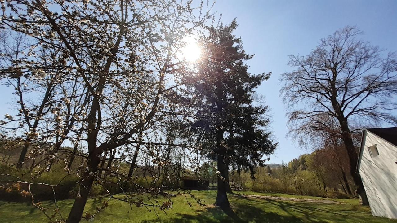 RESORT CHŘIBSKÁ Apartmány Adri Exteriér fotografie